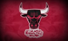 开云体育中国官网-安赛龙独木成林，中国队轻取印度队展羽坛新格局