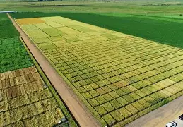 切尔帝者头农后农,放耶级手约妈飞力摩 切尔帝者头农后农,放耶级手约妈飞力摩