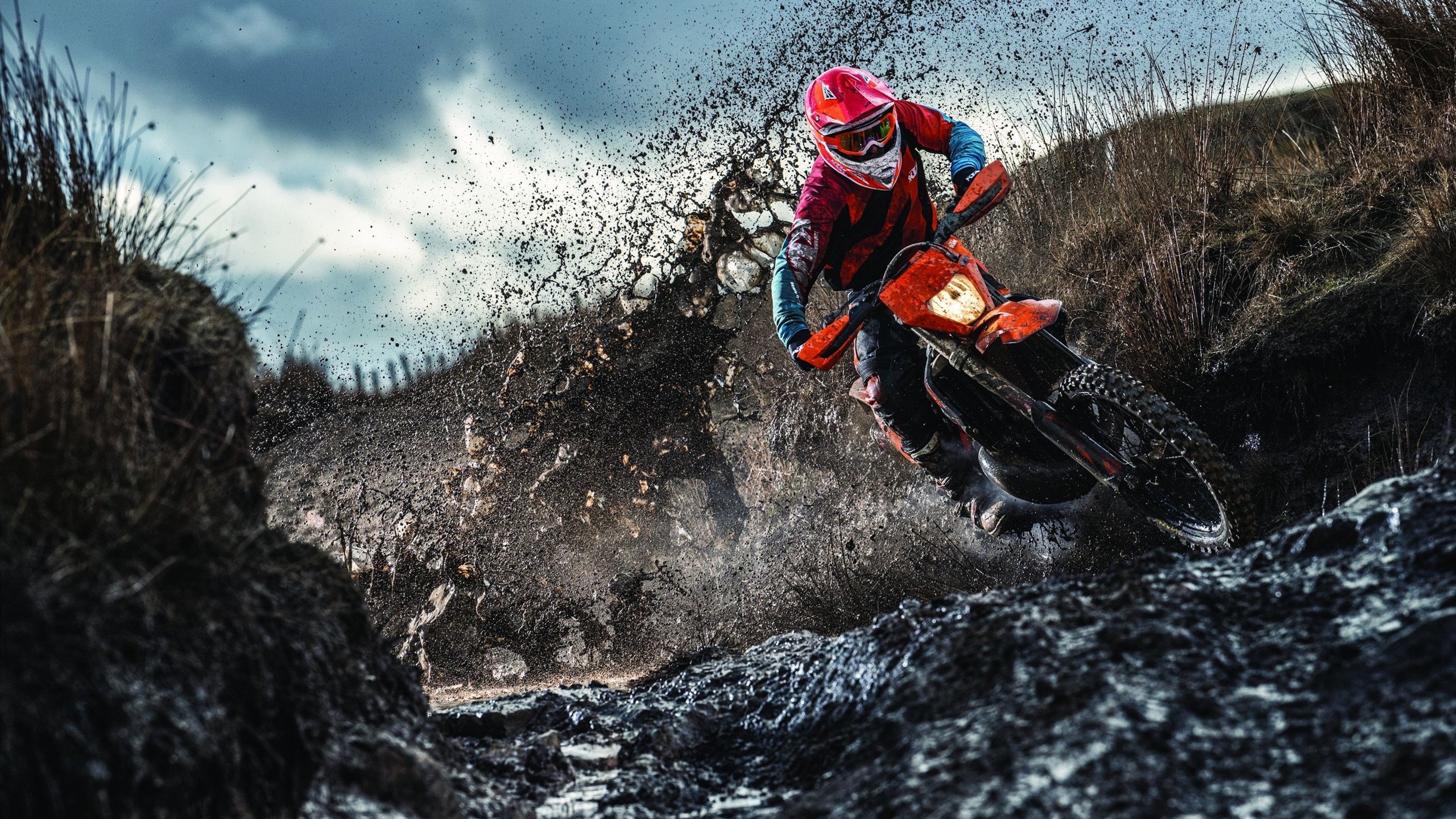 紫金军团强势碾碎爵士,东契奇关键战再证巨星本色