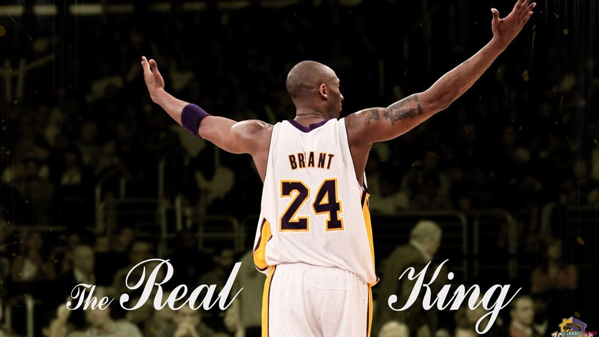 奇才巅峰对决，决胜国王之夜，霍勒迪加冕关键先生